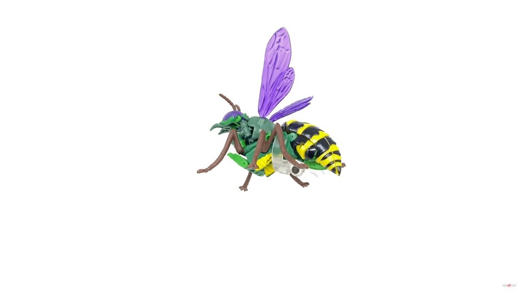 Transformers Kingdom Deluxe Class Waspinator  (22 of 28)